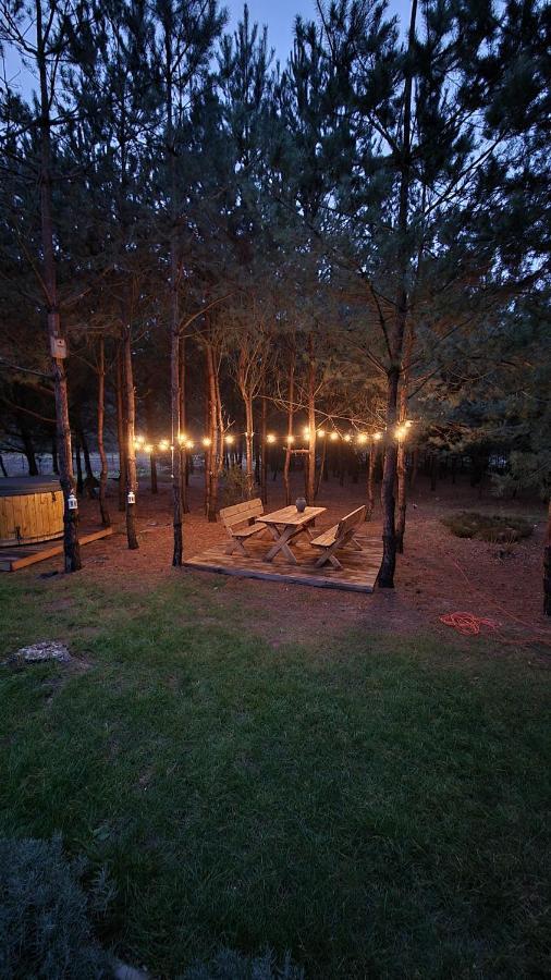 Lesny Spokoj Smykow - Chalet *
